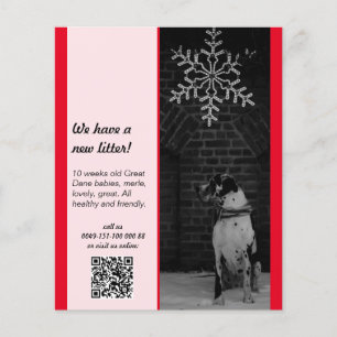 puppy for sale flyer templates
