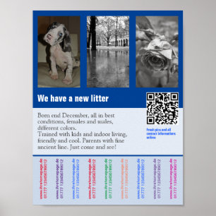 Puppy for sale flyer with QR code Poster