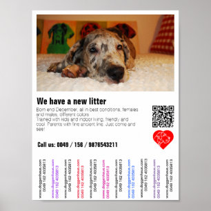 Puppy for sale flyer with QR code Poster