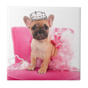 Puppy french bulldog disguised ceramic tile