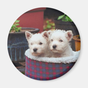 Puppy Friends Magnet