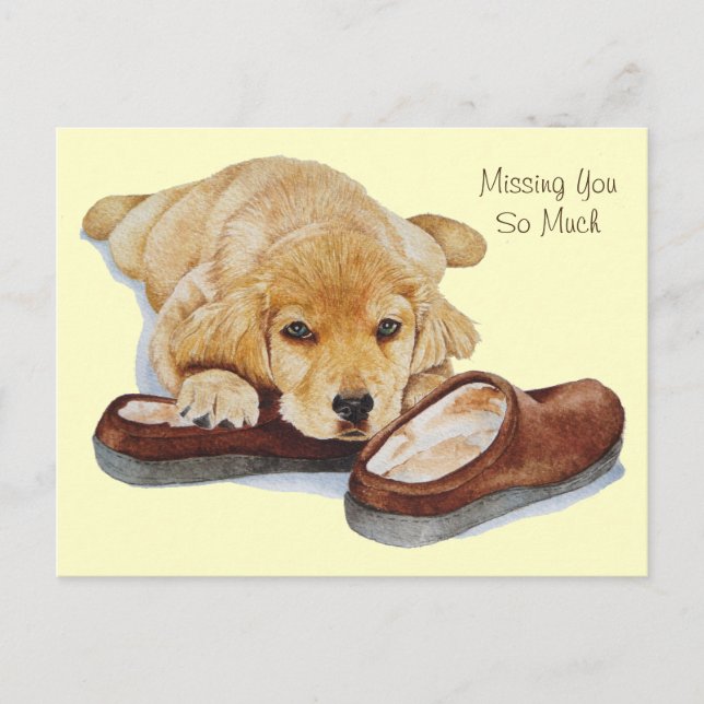 puppy golden retriever dog portrait missing you postcard (Front)