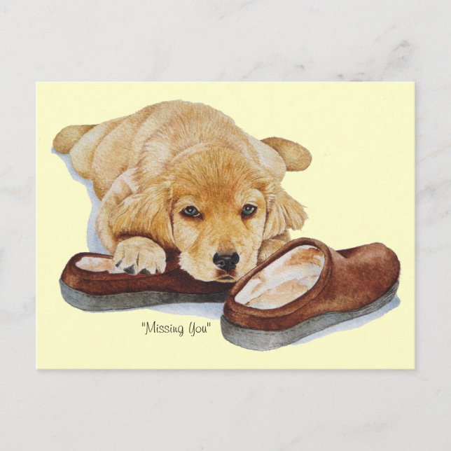 puppy golden retriever dog portrait missing you postcard (Front)