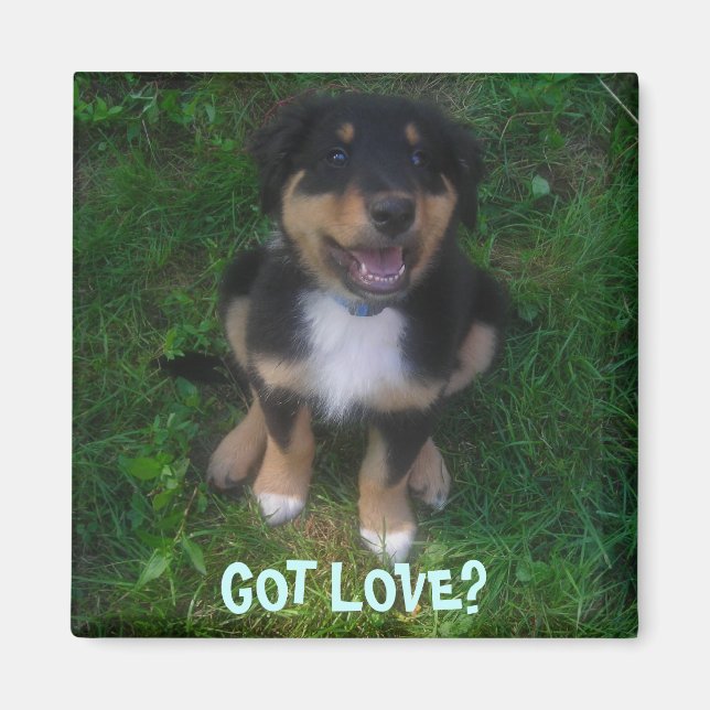 PUPPY, GOT LOVE? MAGNET (Front)