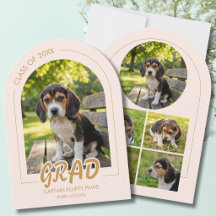 Puppy Graduation Blush Pink Gold Modern Photos