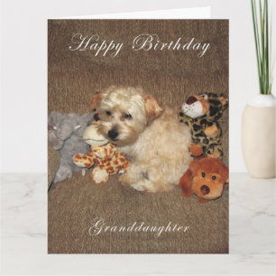 Puppy Granddaughter Birthday Card