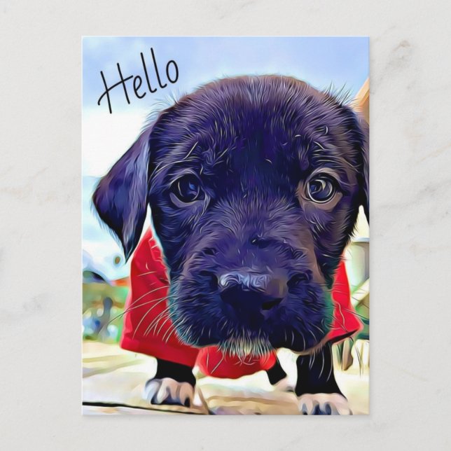 Puppy Hello Postcard (Front)
