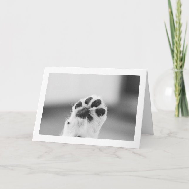 Puppy High Five | Blank Card (Front)