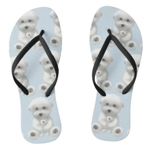 Puppy Hugging His Toy Thongs