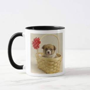 Puppy in a basket mug
