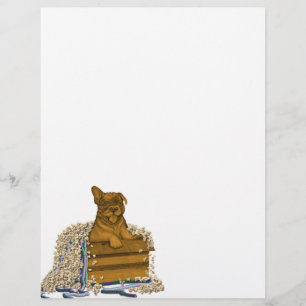 Puppy in a Box Custom Letterhead
