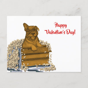 Puppy in a Box , Happy Valentine's Day! Postcard