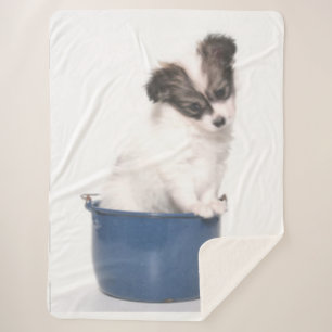 PUPPY in a CAN Sherpa Blanket