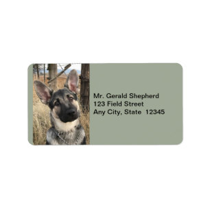 Puppy in a Field Address Labels