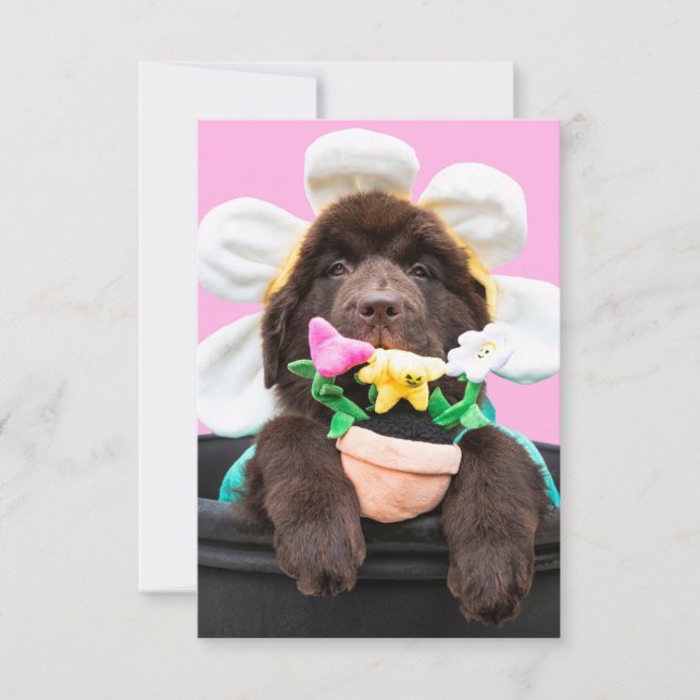 Puppy in a flower pot greeting card 2 (Front)