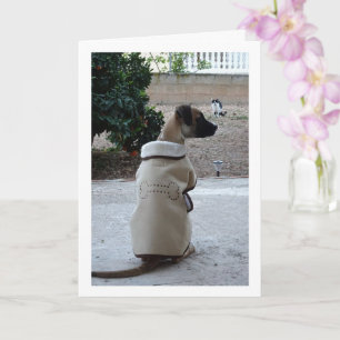 Puppy in Coat Card