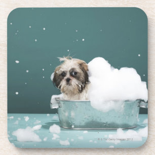 Puppy in foam bath coaster
