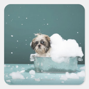 Puppy in foam bath square sticker