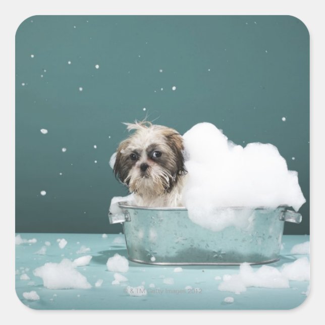 Puppy in foam bath square sticker (Front)