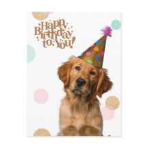 Puppy in Party Hat Birthday Postcard