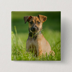 Puppy In The Grass 15 Cm Square Badge
