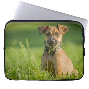 Puppy In The Grass Laptop Sleeve