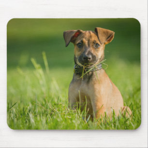 Puppy In The Grass Mouse Pad