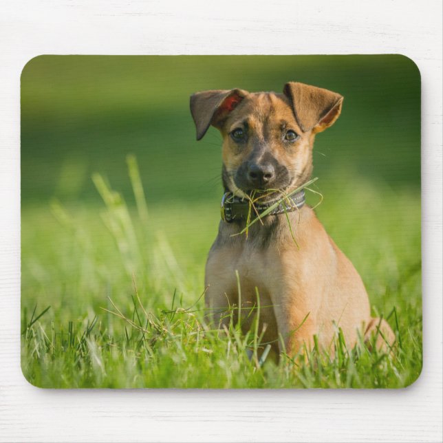 Puppy In The Grass Mouse Pad (Front)