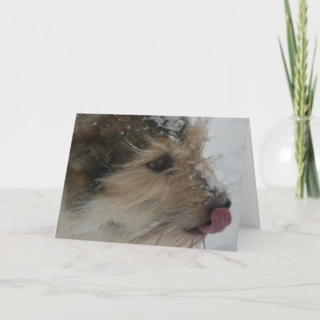 Puppy in the Snow Card (Front)