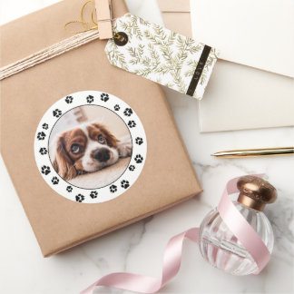 Puppy Instagram Photo Black Paw Prints Stickers