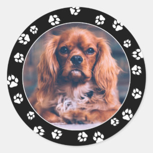 Puppy Instagram Photo White Paw Prints Stickers