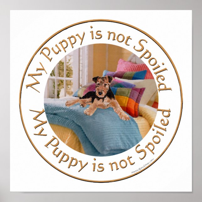 Puppy is Not Spoiled Poster (Front)