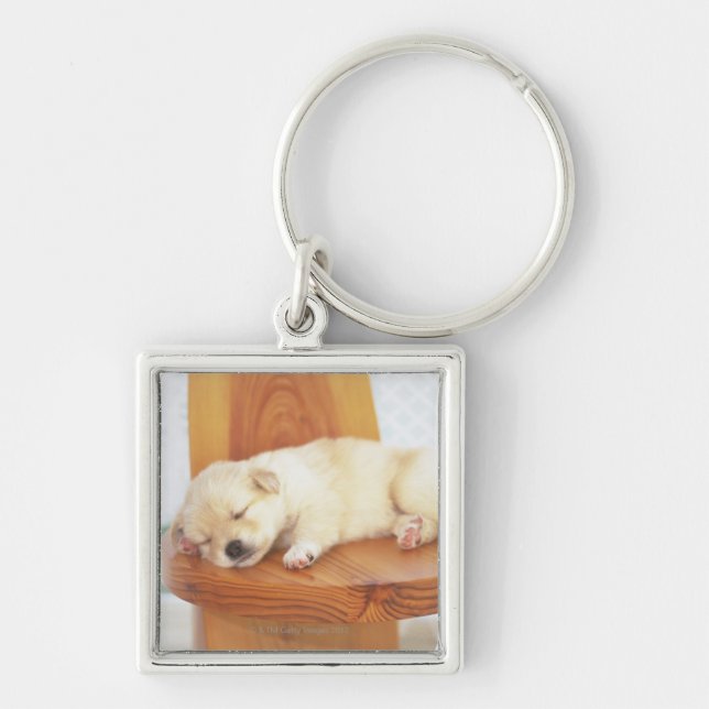 Puppy Key Ring (Front)