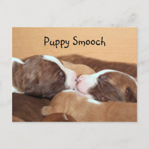 Puppy kiss postcard