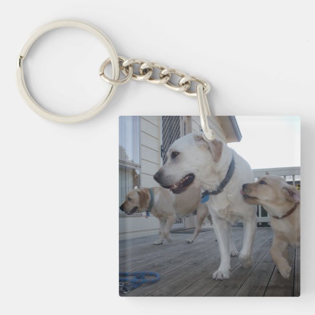 Puppy Kisses: Cream Colour Labrador Family Love,  Key Ring (Front)