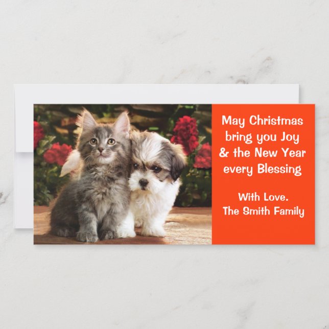 Puppy & Kitten Holiday Card (Front)