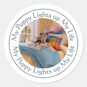 Puppy Lights Up MY Life Classic Round Sticker