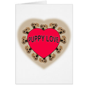 Puppy Love