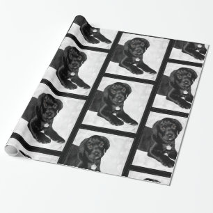 Puppy love black labrador wrapping paper