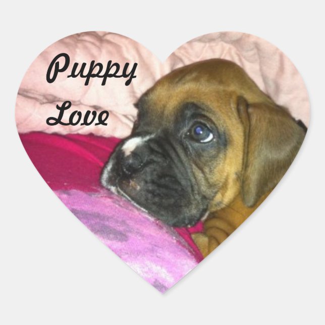 Puppy Love Boxer Sticker Dexter (Front)