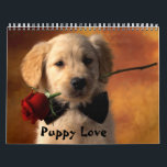 Puppy Love Calendar<br><div class="desc">A calendar of my fellow canine doggy friends, from the Chinese Shar-Pei to the American Pitbull Terrier, and everything in between! Speaking of pitbulls, did you know they are America's favourite hero dog? The pit bull was so respected in the early 1900's that the military chose an image of a...</div>