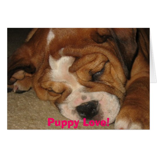 Puppy Love! Card