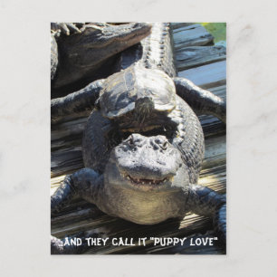 "Puppy Love"  - Gator / Alligator Postcard