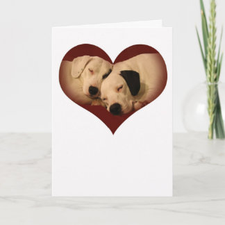 Puppy Love Holiday Card
