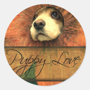 Puppy Love Looking Thru a Fence Classic Round Sticker