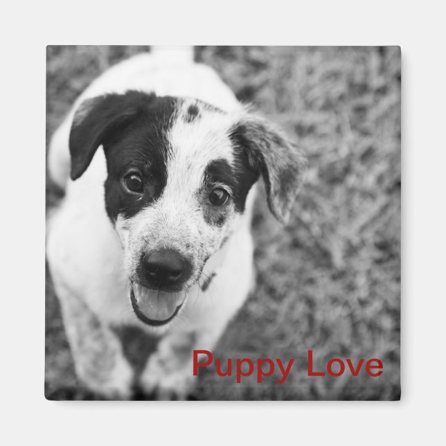 Puppy Love Magnet (Front)