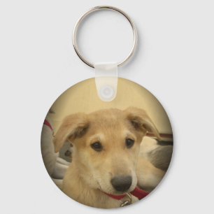 Puppy Love: Man's Best Friend Key Ring