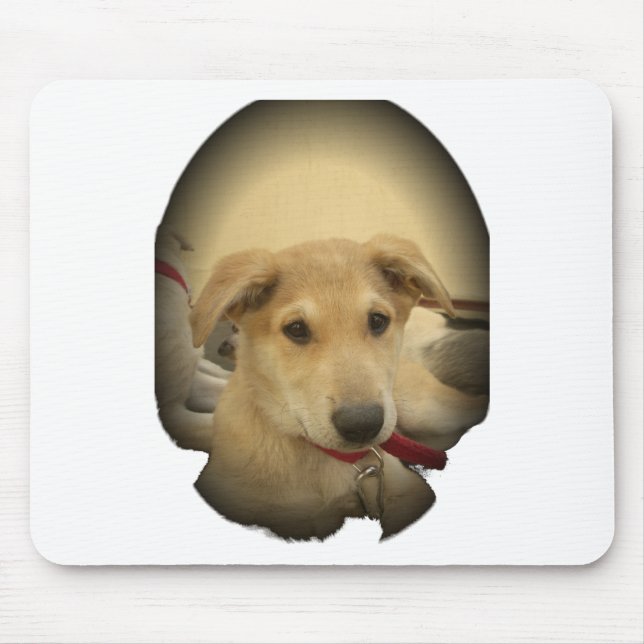 Puppy Love: Man's Best Friend Mouse Pad (Front)