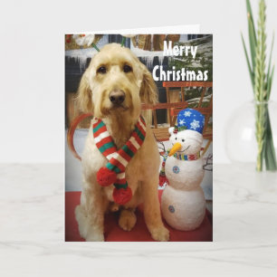 PUPPY LOVE NAUGHTY OR NICE AT CHRISTMAS HOLIDAY CARD
