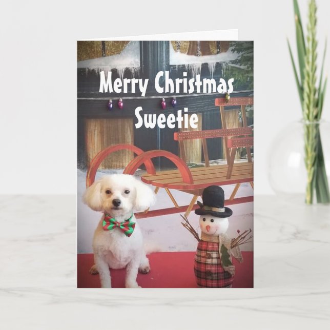 PUPPY LOVE NAUGHTY OR NICE AT CHRISTMAS HOLIDAY CARD (Front)